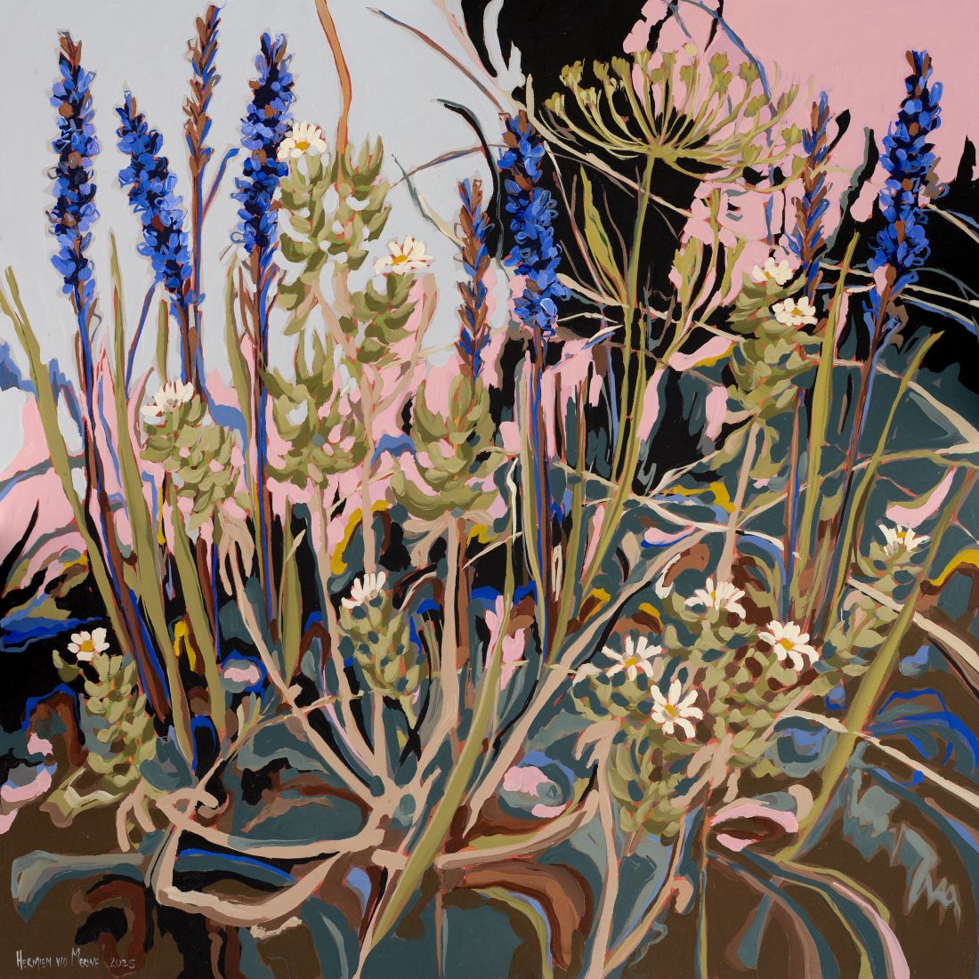 2025 Aristea, Showy Mountain Daisy and Blister Bush Mountain series 800x800mm