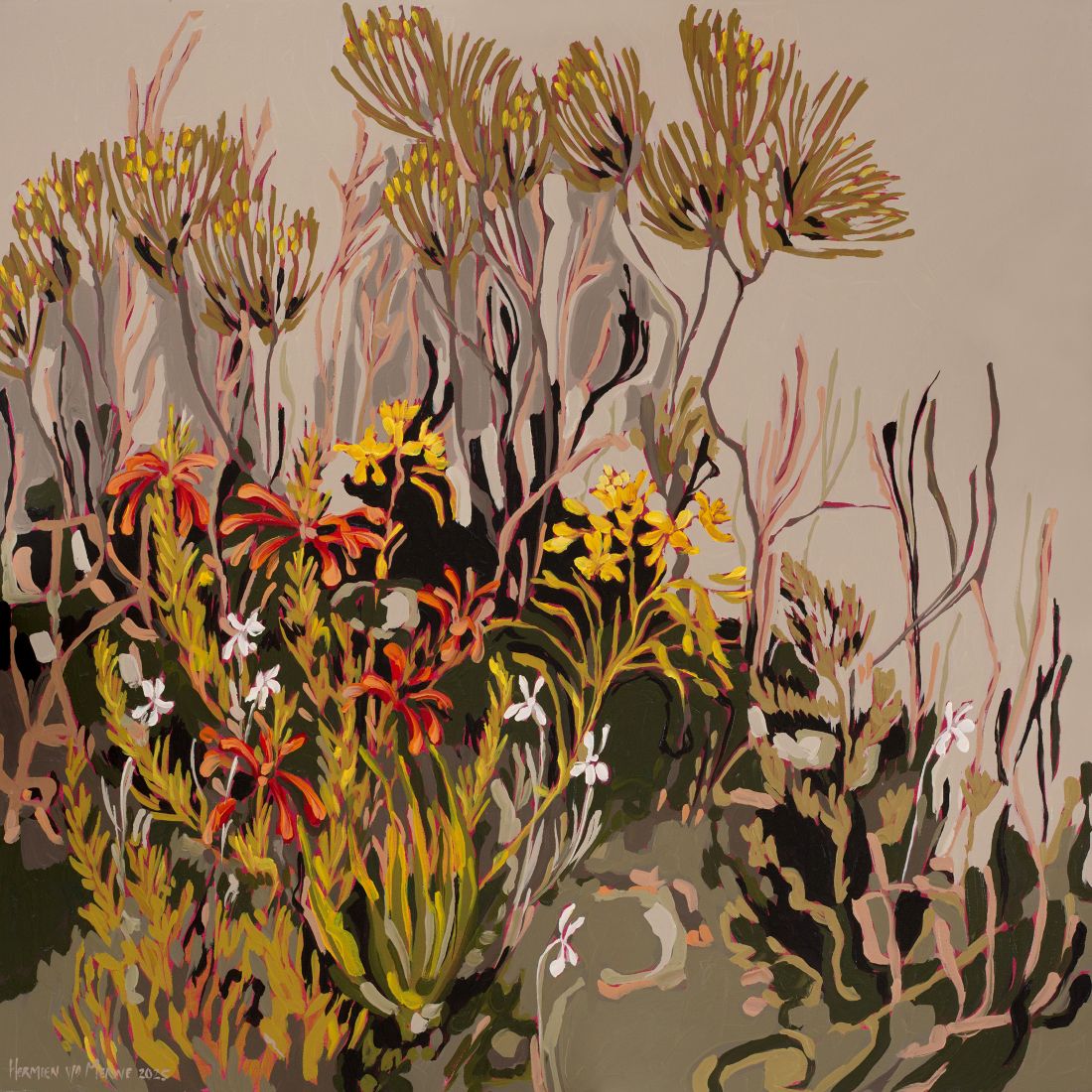 2025 Erica, Klaas Louw Bush and Cat’s Tail Mountain series 800x800mm