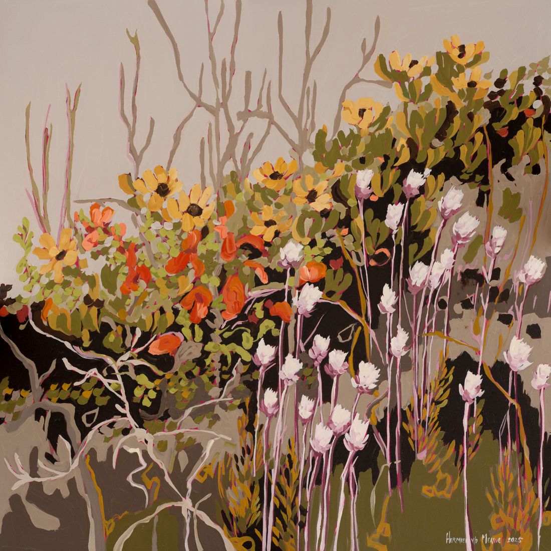 2025 Yellow Cone Bush, wild Sage and Everlastings Mountain series 800x800mm