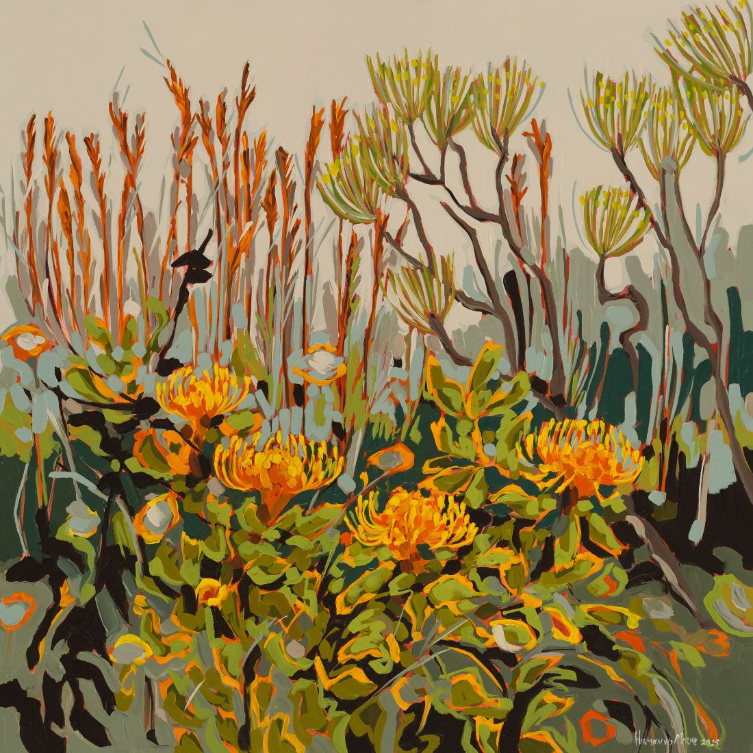 Kleiner vir webblad Pincushion, Klaas Louw Bush and Restio Mountain series 800x800mm