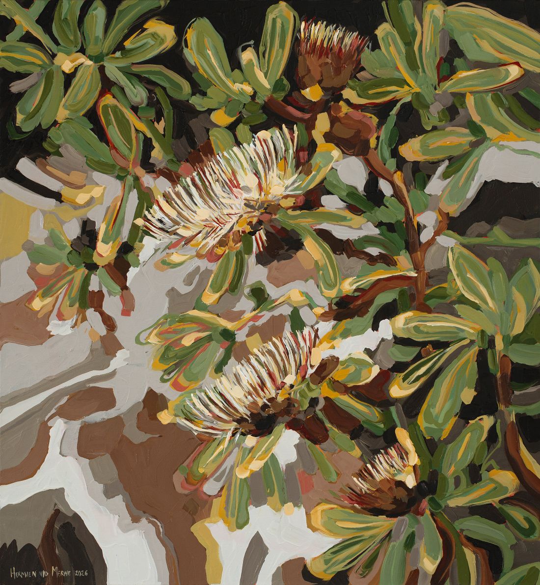 2026-Protea-Nitida-Grounded-series-600x650mm-1