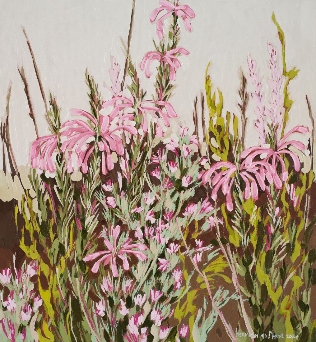 2026 Pink Ericas; Rhythm series; 600x650mm 2026 Pink Ericas; Rhythm series; 600x650mm